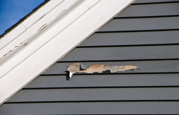 Shed Removal in Soperton, GA